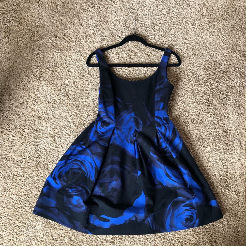 Rose ballet neckline dress